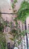20140720_132442.jpg