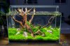 diy-aquascaping-led-licht-marco-alle.jpg