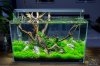 diy-aquascaping-led-licht-marco-weiss.jpg diy-aquascaping-led-licht-marco-weiss.jpg