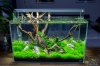 diy-aquascaping-led-licht-marco-weiss.jpg