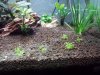 20140902_195622.jpg 20140902_195622.jpg