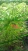 WP_20140630_001.jpg WP_20140630_001.jpg