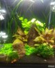20140503_174652.jpg
