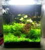 20140909_220521.jpg