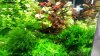 20140818_094835.jpg