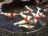 ov_img_1005.jpg