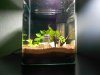 minicube.jpg minicube.jpg