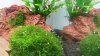 20140916_191241.jpg