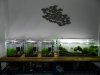 DSCN5774.JPG