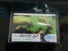 DSCN5803.JPG