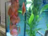 DSCN5822.JPG
