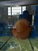 DSCN5816.JPG