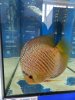 DSCN5815.JPG