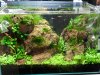 DSCN5794.JPG