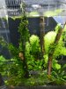 DSCN5807.JPG