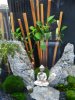 DSCN5808.JPG