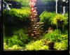 20141014_220850.JPG