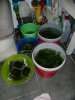 K800_CIMG3270.JPG K800_CIMG3270.JPG