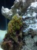 IMG_0165.JPG IMG_0165.JPG