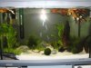 Aquarium 3 CPO.JPG Aquarium 3 CPO.JPG