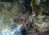IMG_0208.JPG IMG_0208.JPG