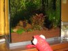 IMG_0005.JPG