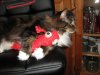 k-IMG_0053.JPG