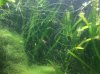 ImageUploadedByTapatalk1417200940.886955.jpg ImageUploadedByTapatalk1417200940.886955.jpg