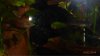 ImageUploadedByTapatalk1417678173.004511.jpg ImageUploadedByTapatalk1417678173.004511.jpg