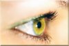Eye.JPG
