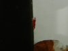 DSCN6208.JPG