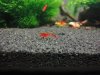 DSC01395.JPG