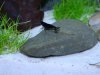 DSCN2870.JPG DSCN2870.JPG