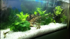 2015-02-22 00.30.01.png 2015-02-22 00.30.01.png