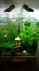 IMG-20141024-WA0023.jpeg IMG-20141024-WA0023.jpeg