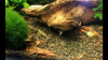 2015-02-22 00.12.35.png 2015-02-22 00.12.35.png