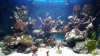2015-02-22 00.45.31.png 2015-02-22 00.45.31.png