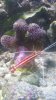 IMG-20141019-WA0035.jpeg IMG-20141019-WA0035.jpeg