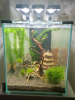 2015-02-22 00.10.01.png 2015-02-22 00.10.01.png