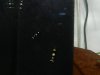 DSCN6401.JPG
