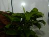 DSCN6367.JPG