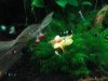 DSC01633.JPG