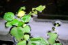 DSC_1573b.jpg