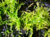 2015-03-08 14.31.50.jpg