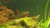 20150314_184937.jpg