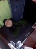 ImageUploadedByTapatalk1426801775.994338.jpg ImageUploadedByTapatalk1426801775.994338.jpg