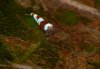 DSC_0413.JPG