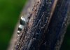 DSC_0487.JPG