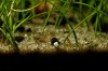 DSC00122.jpg