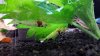 20150405_174344b.jpg 20150405_174344b.jpg